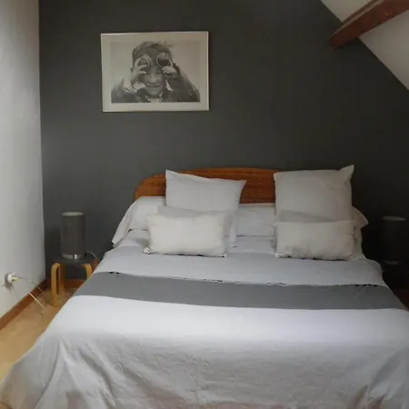 Cosy En Bord De Riviere Avec Jardin, Proche Village Medieval, Ideal Famille, Animaux Acceptes - Fr-1-489-247 Holiday home